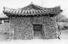 우리소리 아카이브 > 자료검색