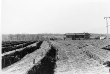 우리소리 아카이브 > 자료검색