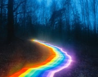 Long Exposure Photography of Rainbow Road Illuminated Landscapes Vibrant Rainbow Roads Illuminate Forests and River Bends Into... 