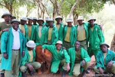 Compassionate Group Helps Rescue and Foster Over 150 Orphan Elephants