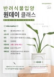 반려식물입양 원데이 클래스 - 자유홍보 - 부산대 학생 커뮤니티 마이피누
