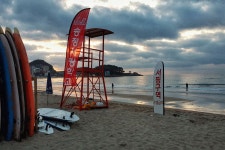 노닥 노닥 노가리 - 1 - 자유게시판 - 부산대 학생 커뮤니티 마이피누