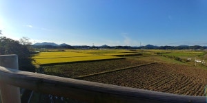 (1일차) 섬진강 자전거 종주 후기 - 자유게시판 - 부산대 학생 커뮤니티 마이피누