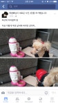 부산대역 버려진 강아지라고 하는 - 자유게시판 - 부산대 학생 커뮤니티 마이피누