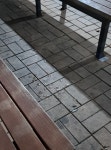자유관 앞 흡연장소에 히드라 여성분 - 식물원(고민상담) - 부산대 학생 커뮤니티 마이피누