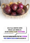 황토골 무안 자색양파 중대혼합 3kg | 돈버는 쇼핑 도매꾹 [도매꾹] 황토골 무안 자색양파 중대혼합 3kg
