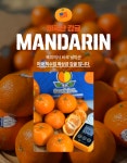 [오티마트]만다린 오렌지 (미국산귤) 3kg