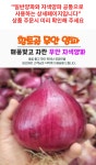 황토골 무안 자색양파 중대혼합 3kg | 돈버는 쇼핑 도매꾹 [도매꾹] 황토골 무안 자색양파 중대혼합 3kg
