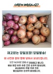 전남 황토골 무안 양파 소미니혼합 10kg