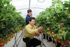 춘향골 명품농산물 생산을 위한 현장소통:내외신문 ≪내외신문≫ 춘향골 명품농산물 생산을 위한 현장소통