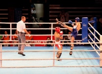 킥복싱의 진수를 보여주마.:내외신문 ≪내외신문≫ 킥복싱의 진수를 보여주마.