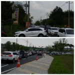 서천국립생태원 심각한 교통체증 몰라라...외면:내외신문 ≪내외신문≫ 서천국립생태원 심각한 교통체증 몰라라...외면