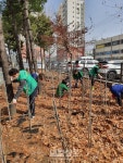 인천광역시 계양구 작전서운동 2022년도 도시녹화운동 추진:내외신문 ≪내외신문≫ 인천광역시 계양구 작전서운동 2022년도 도시녹화운동 추진