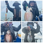 10월 15일 먹물조항 > 조황정보 - 바다사랑닷컴