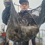 10월27일 해성호 쭈꾸미 조황 > 조황정보 - 바다사랑닷컴
