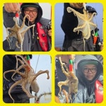 성복호 왕대구, 열기 조황 3/9 > 조황정보 - 바다사랑닷컴