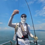 안면도 체험낚시 백조기 대박 조황!!! 초보도 문제없어~ > 조황정보 - 바다사랑닷컴