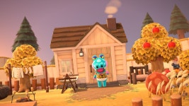 스압 / 동숲 카페 + 해피 홈 파라다이스 스샷들 - BATTLEPAGE