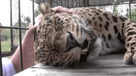 어, 좋다~ 거기 말고 여기.... - BATTLEPAGE