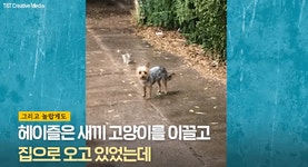 냥줍해온 멍멍이. - BATTLEPAGE