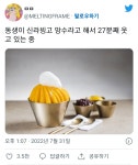 신라빙고 망수 - BATTLEPAGE