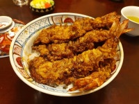 (스압)2019년 여행 사진 돌아보기(1) - BATTLEPAGE