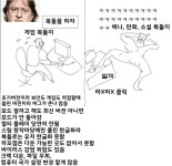 정돌/복돌에 대한 두 분야의 온도차 - BATTLEPAGE