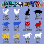 출생연도별 띠 색깔 정리 - BATTLEPAGE