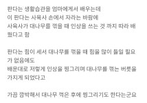 사람손에 자란 판다에게서 볼 수 있는 모습 - BATTLEPAGE