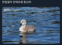 미운오리새끼 - BATTLEPAGE