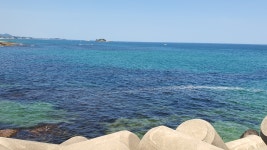 속초 장사항좀 걷는중 - BATTLEPAGE