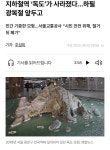 통행에 방해가 되어 철거했다는 독도모형 - BATTLEPAGE