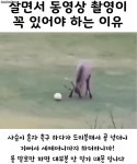 동영상 촬영 할 수 있게 항상 대비해야하는 이유 - BATTLEPAGE