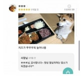 치즈가 쭈우우욱 - BATTLEPAGE