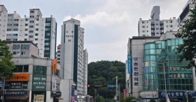 울산 도심 방문 - BATTLEPAGE