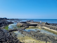 제주 김녕 앞 해변 모음 - BATTLEPAGE