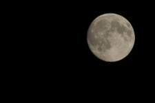 아는 분이 오늘 보름이라 해서 달을 보고 옴 - BATTLEPAGE