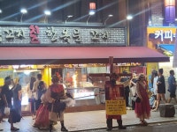 2년 전 한옥마을에서 본 남크루세이더 - BATTLEPAGE