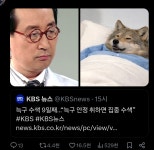 ??? : 여기가... 어디요... - BATTLEPAGE