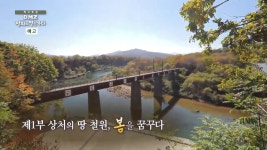 TV CHOSUN 
