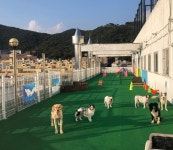 경인뉴스 - 상세 | 경인홍보 | 감동+대학 경인여자대학교 감동+대학 경인여자대학교