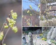 꽃이야기 | 화갤러리 | 경인갤러리 경인갤러리