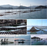 LF스퀘어 공식 온라인몰