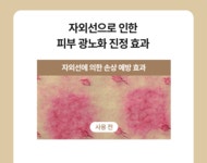 니들리 유스 코어 선 세럼 50ml