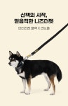 니즈더펫(NEEDS THE PET) 인터라켄 풀백 X 탠션 리드줄 - 후기 | 무신사
