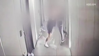 경복궁 담벼락 ‘낙서 테러’ 배후 ‘이 팀장’ 잡혔다…30대 남성 검거