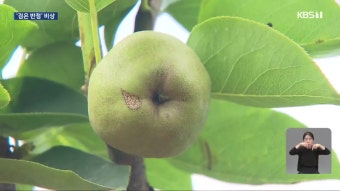 “한빛원전 1·2호기 수명 연장 절차 중단하라”