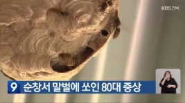 남원지역 초중고, 단계적 급식 재개