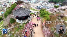 “소(牛)프라이즈” 반값 한우 맘껏 드세요 | KBS 뉴스 “소(牛)프라이즈” 반값 한우 맘껏 드세요