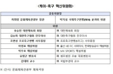 박지성-최휘영 장관 공동위원장 'K-축구 혁신위' 출범...유승민, 이영 - 잇싸 마이너 갤러리